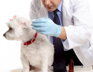 Checkup