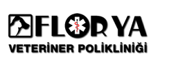FloryaVet FloryaVet